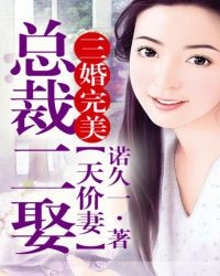 三婚完美，总裁二娶天价前妻